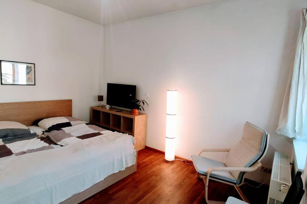 Modern Studio08 With Big Balcony In The Neustadt دريسدن المظهر الخارجي الصورة